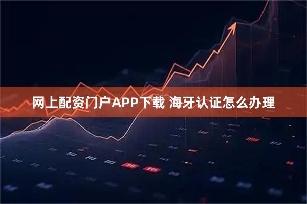 网上配资门户APP下载 海牙认证怎么办理