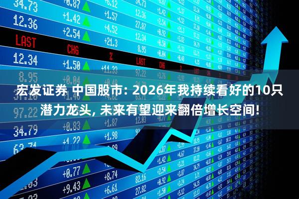 宏发证券 中国股市: 2026年我持续看好的10只潜力龙头, 未来有望迎来翻倍增长空间!